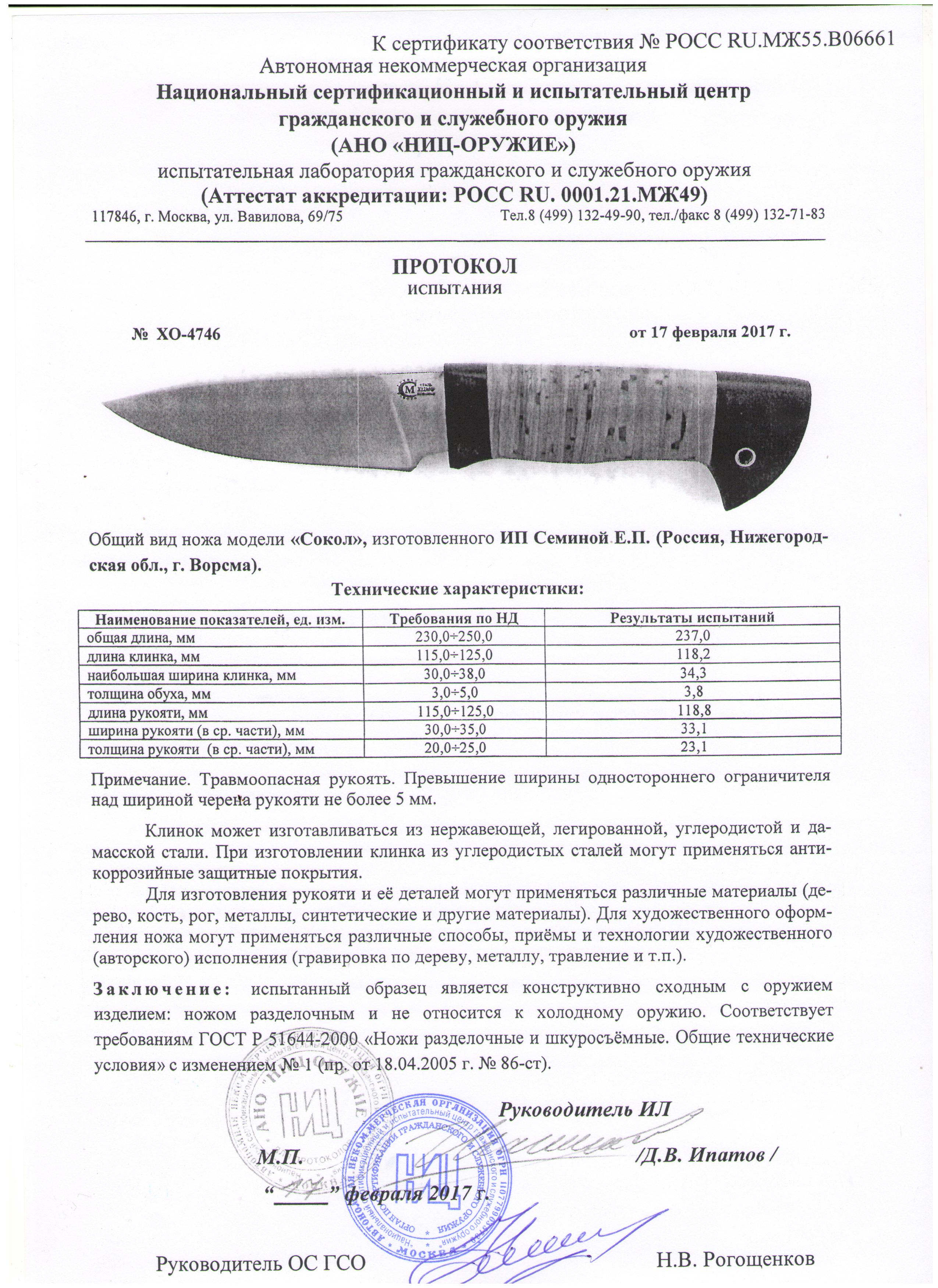 сокол сокол.jpg