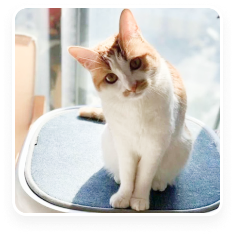 Переход на новый уровень