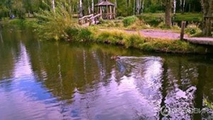 Балатовский парк