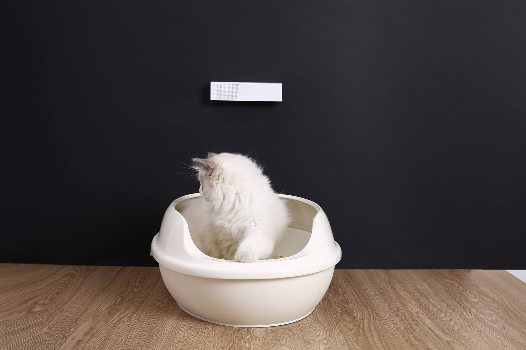 Автоматический очиститель воздуха Petkit smart odor elimination Автоматический очиститель воздуха Petkit smart odor elimination