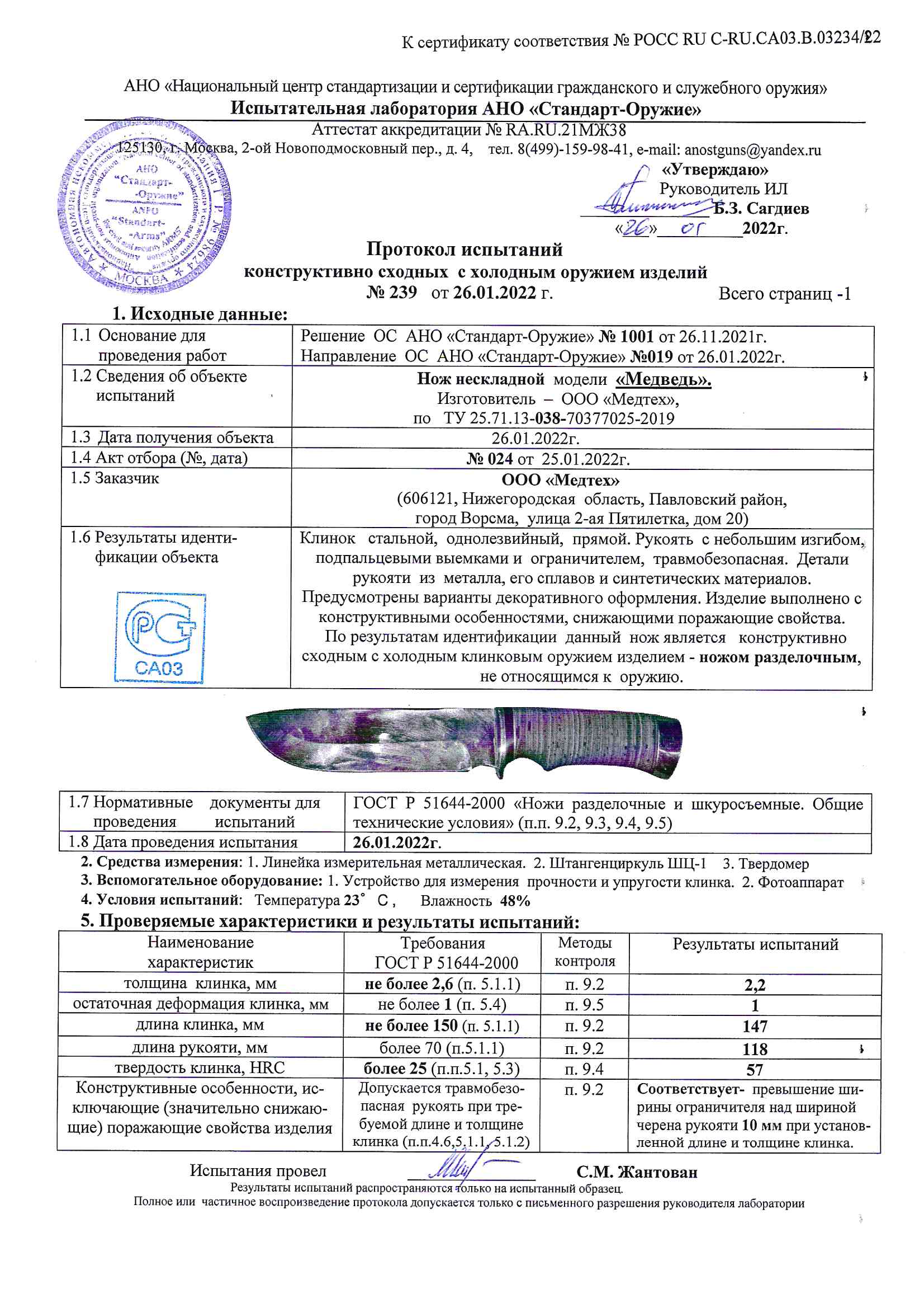 медведь медведь.jpg