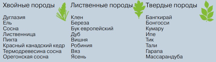породы древесины