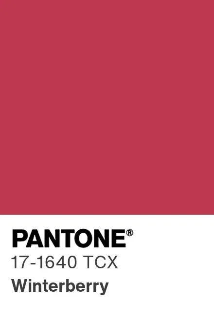PANTONE 17-1640 Winterberry — Зимняя ягода