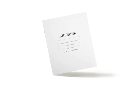 Дневники без рисунка