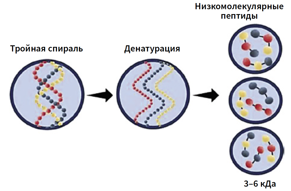 Флегонтова КМ 4-2024_Рис 5.png