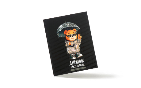 Дневники с рисунком