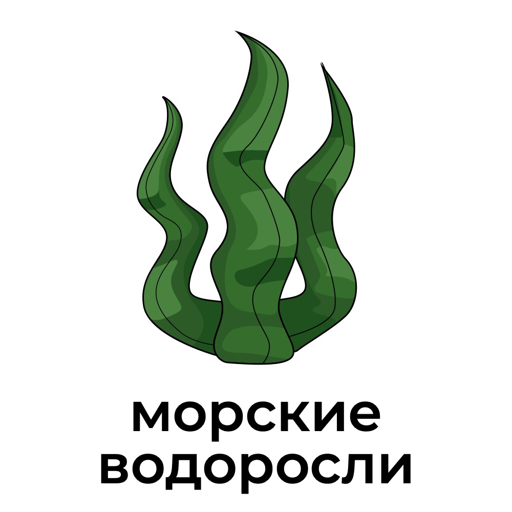 водоросли.jpg
