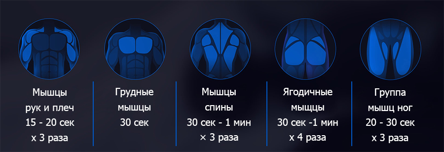схемы мышц
