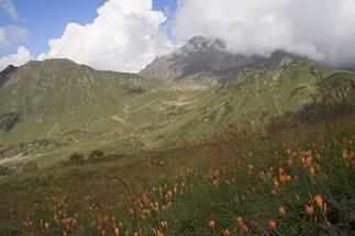 Перевал Химса Перевал Химса