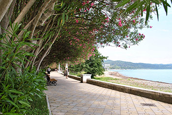 Набережная Махаджиров Набережная Махаджиров