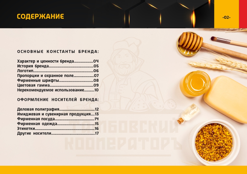 Тамбовский кооператор брендбук2.jpg