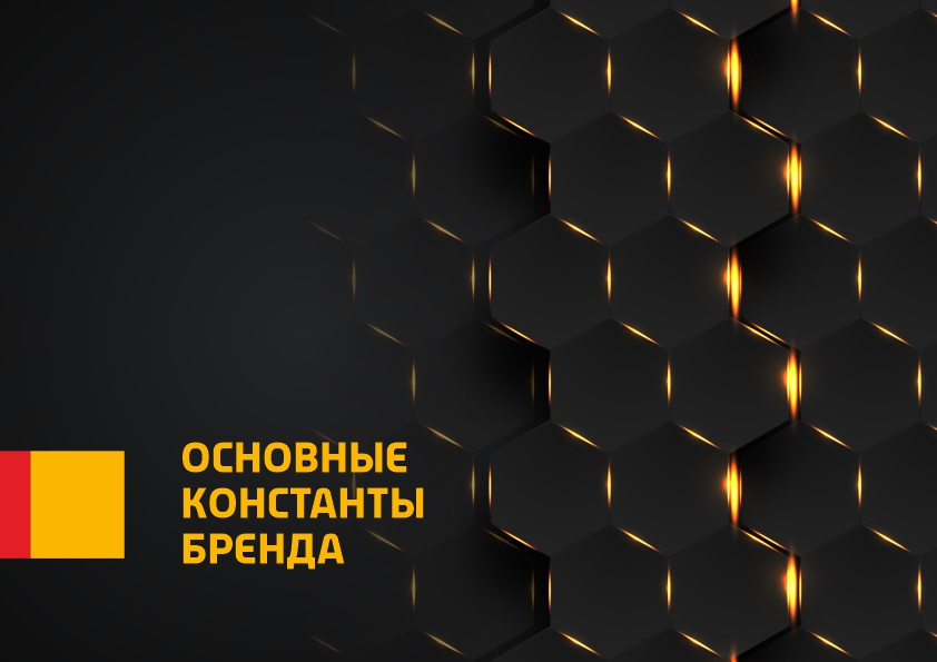 Тамбовский кооператор брендбук3.jpg
