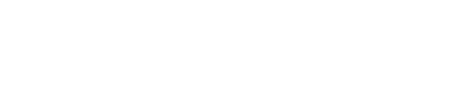 Логотип партнера