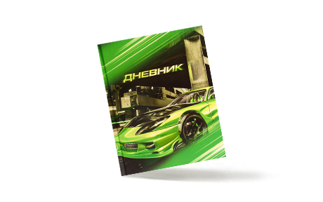 Дневники для мальчика