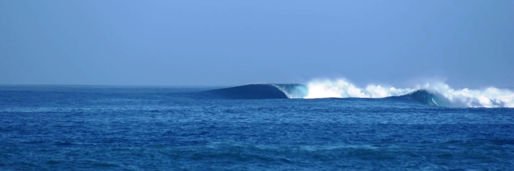 Волна на рифовом серф-споте