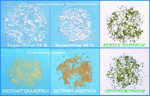 Фото экдистерона 96%, смесь аналогов экдистерона; экстракты цианотиса и живучки; левзея порошок = 0,64% и серпуха-порошок = 4,73%