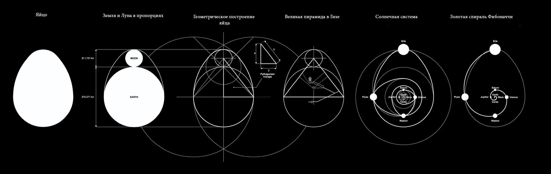 Чертеж яйца с размерами