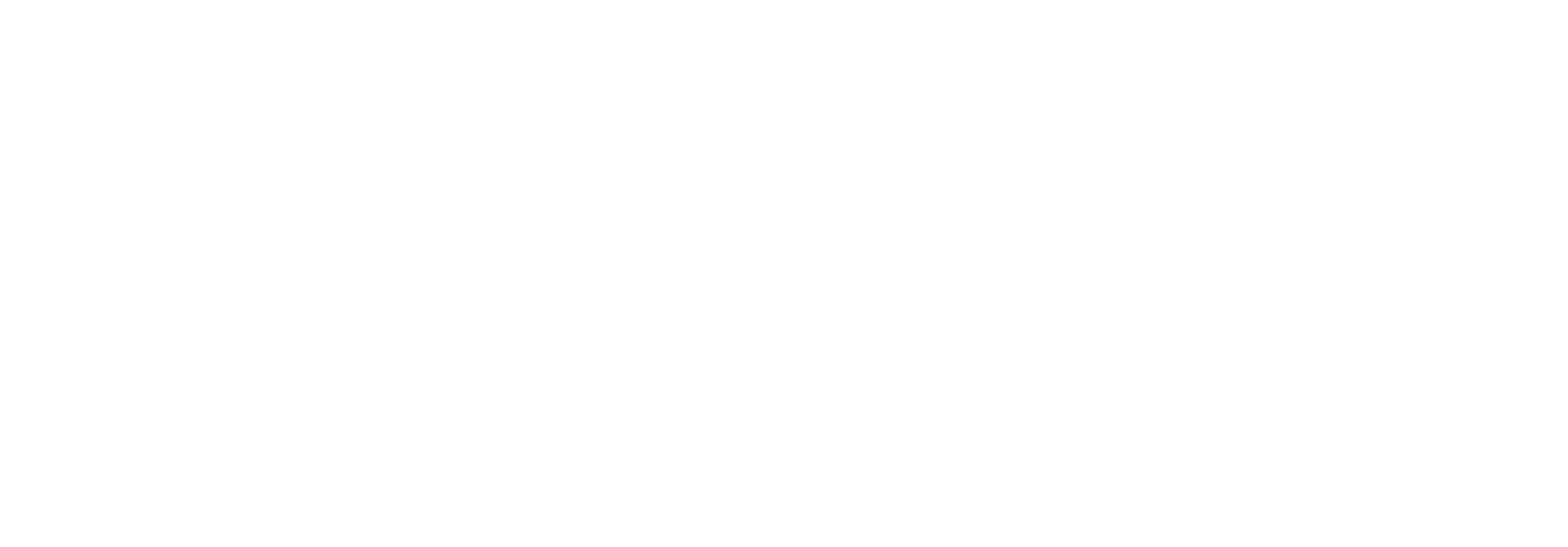 Web pay logo