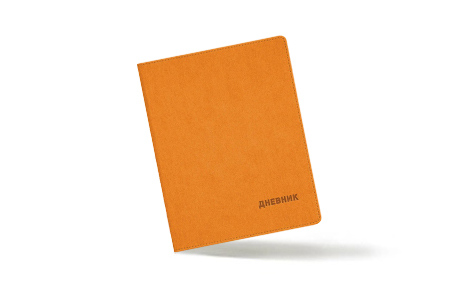 Кожаные дневники