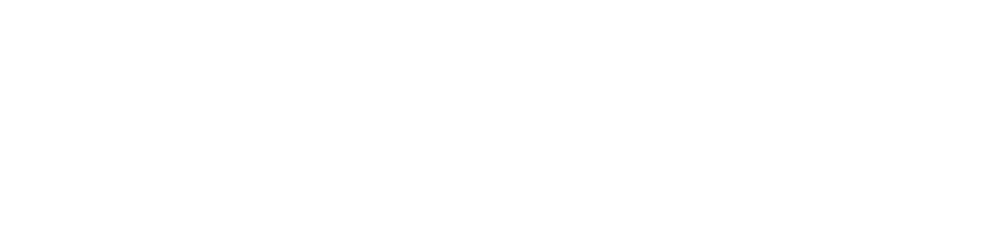 PRO I