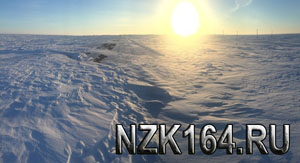 NZK164