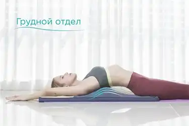  Растяжка грудного отдела позвоночника