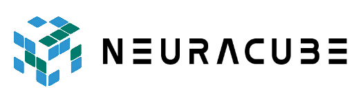 NEURACUBE