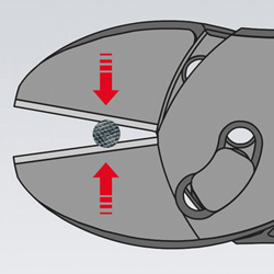 73_7_Animation1D0.jpg