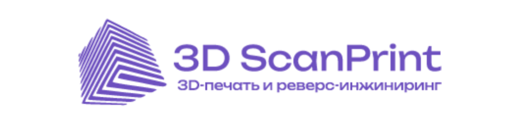 3D ScanPrint