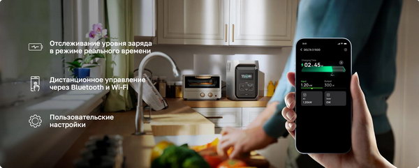 EcoFlow Delta 3 1500 (17)_resize.jpg