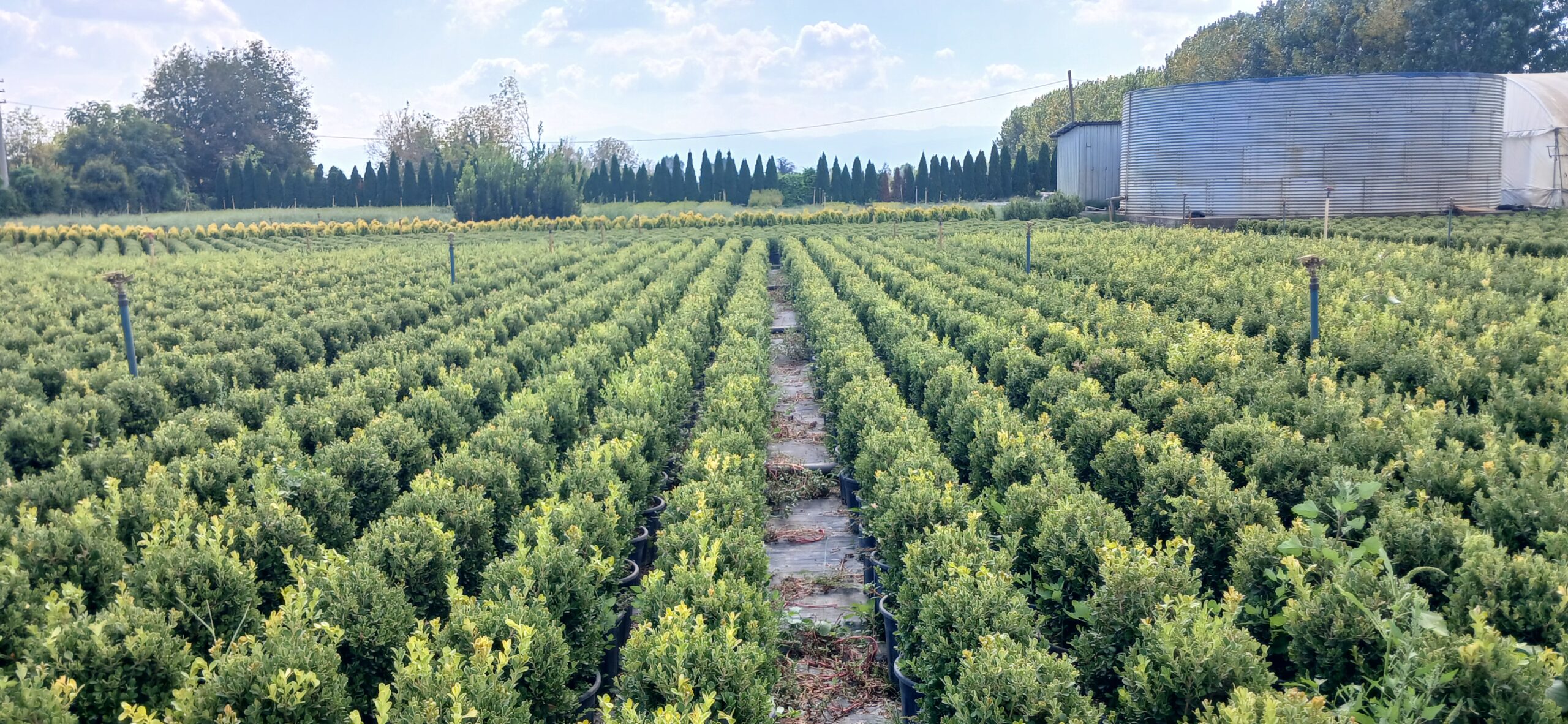 Садовые Товары