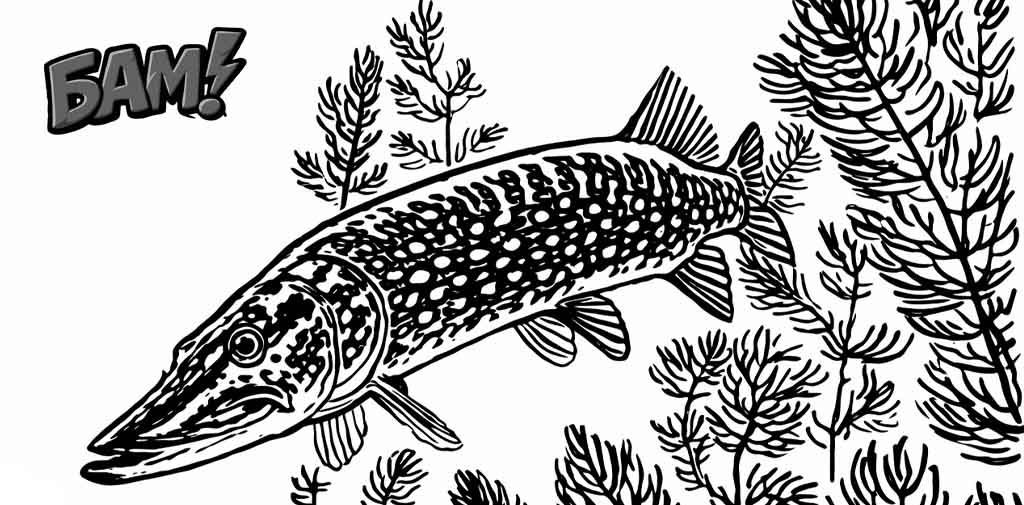 щука в траве прячется