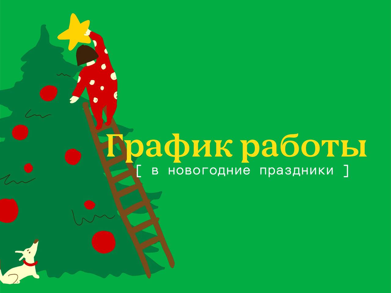 2024-12-28 22.49.04.jpg