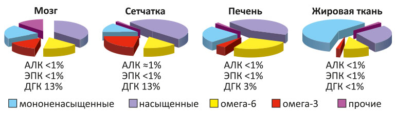 Содержание Омега3 в организме