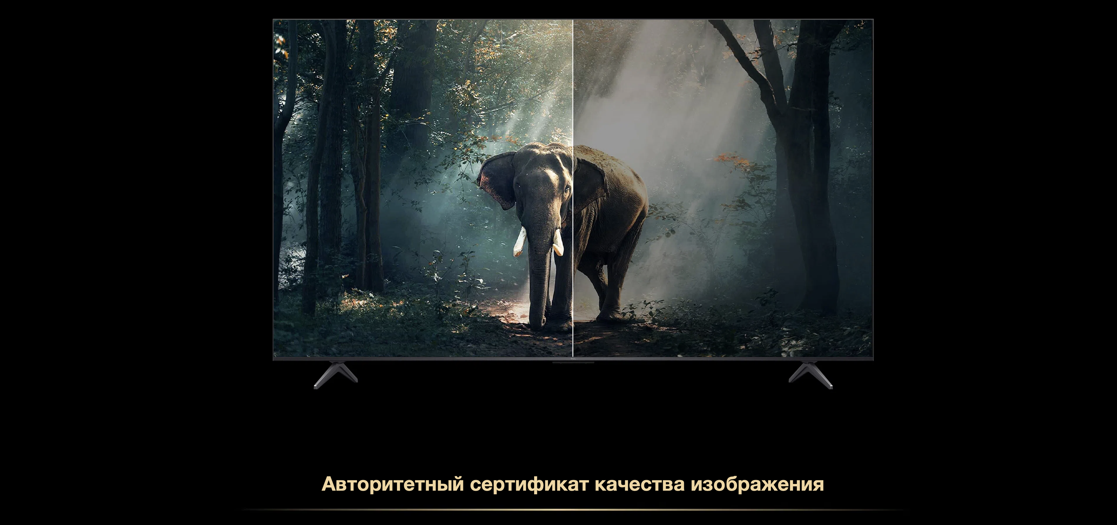 Снимок экрана 2026-02-11 в 16.58.29.png