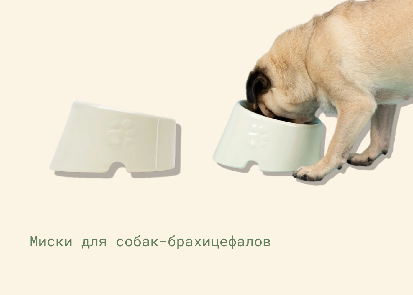 миска для бульдога