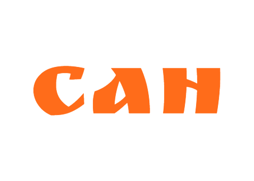 САН