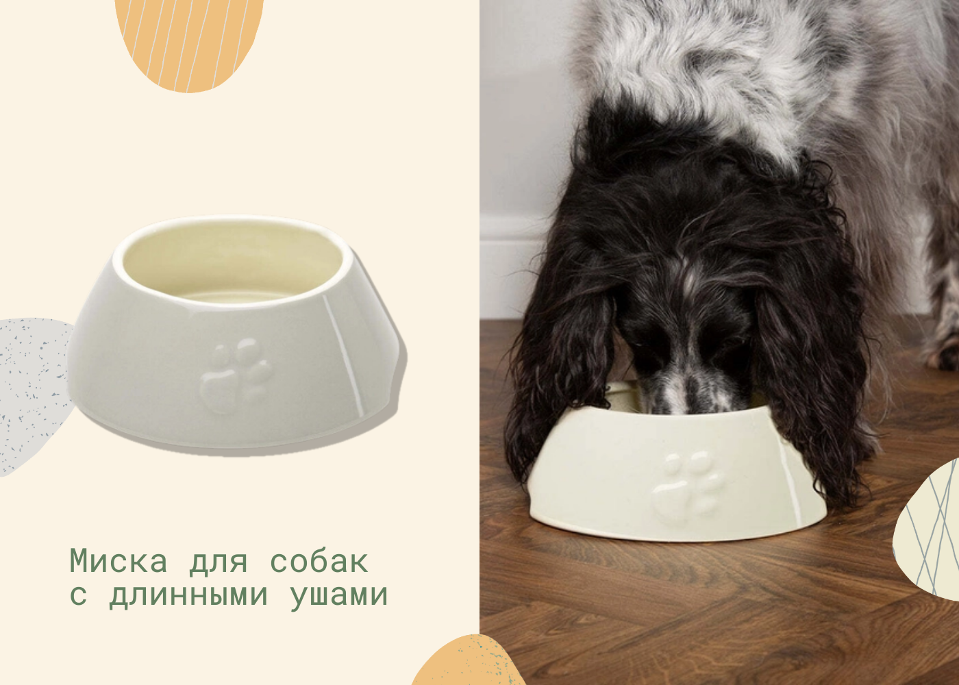миска для спаниеля