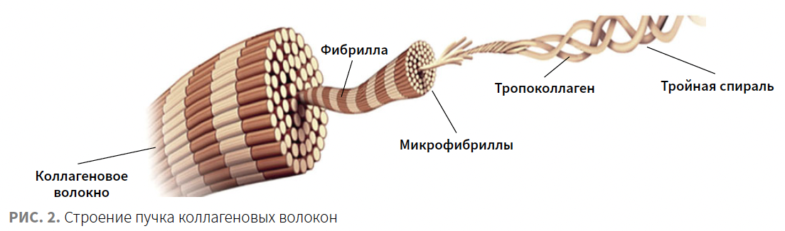 Roberi (Jes) KM 4-2023_Fig 2.png