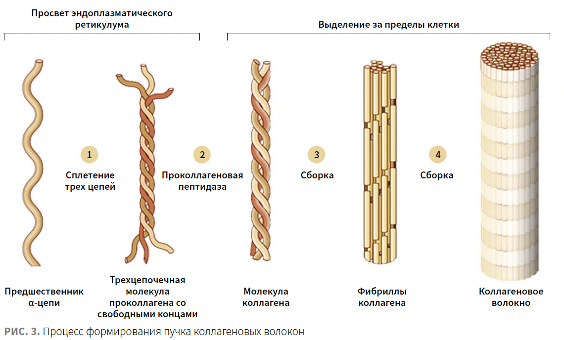 Roberi (Jes) KM 4-2023_Fig 3.png