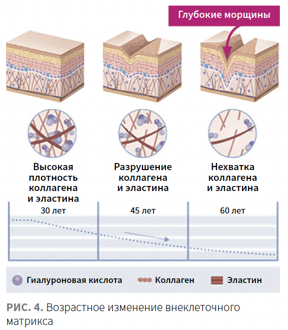 Roberi (Jes) KM 4-2023_Fig 4.png