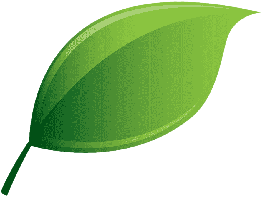 Листочек. Зеленые листочки. Лепесток зеленый. Зеленый прозрачный листок. Зеленый лист вектор.