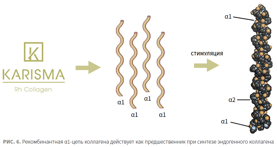 Roberi (Jes) KM 4-2023_Fig 6.png