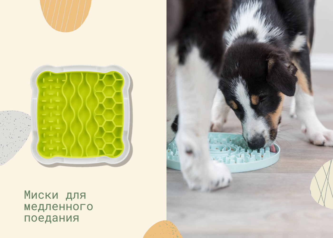 миска-игрушка