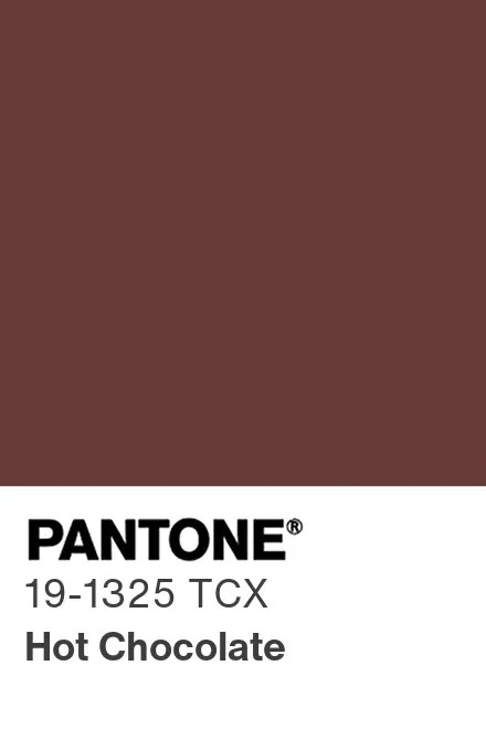 PANTONE 19-1325 Hot Chocolate — Горячий шоколад