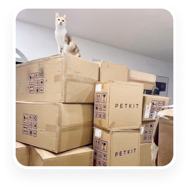 Первые рекорды