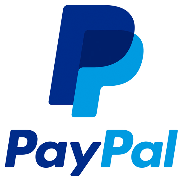 Payment system icon