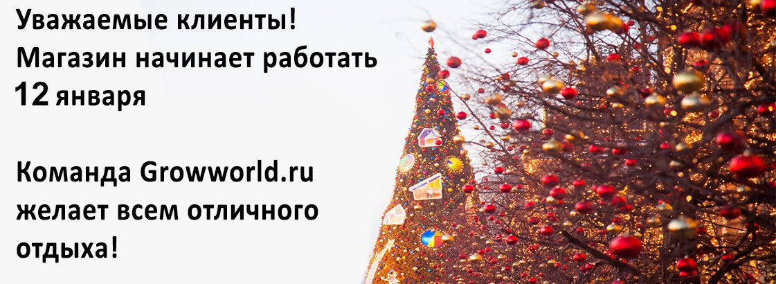 С Новым 2026 Годом!