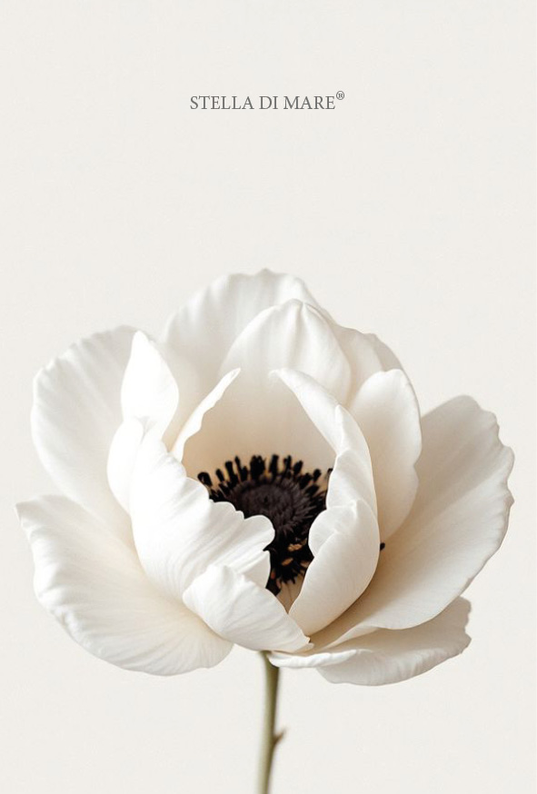 Flower #3