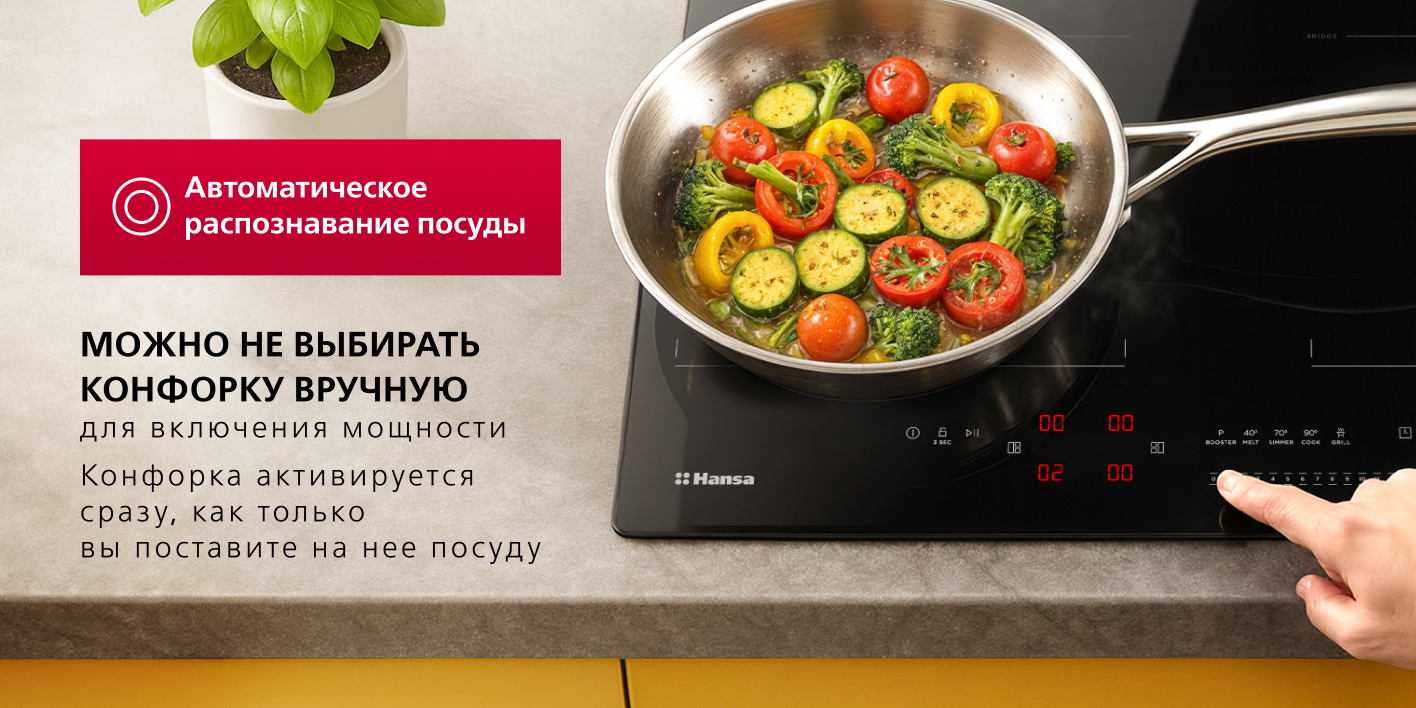 induction_3-0_detect induction_3-0_detect.png